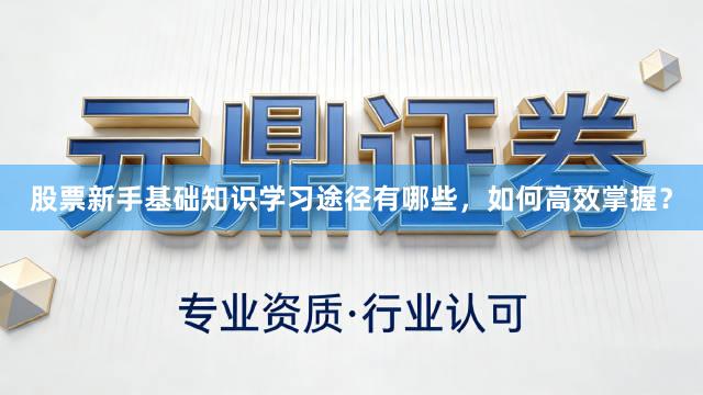 股票新手基础知识学习途径有哪些，如何高效掌握？
