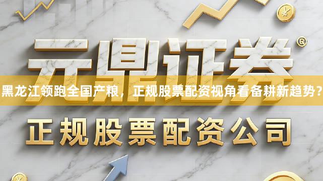 黑龙江领跑全国产粮，正规股票配资视角看备耕新趋势？