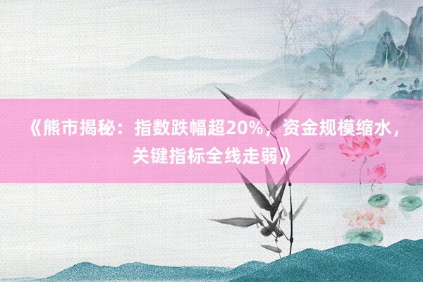 《熊市揭秘：指数跌幅超20%，资金规模缩水，关键指标全线走弱》