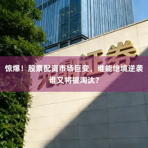 惊爆！股票配资市场巨变，谁能绝境逆袭谁又将被淘汰？