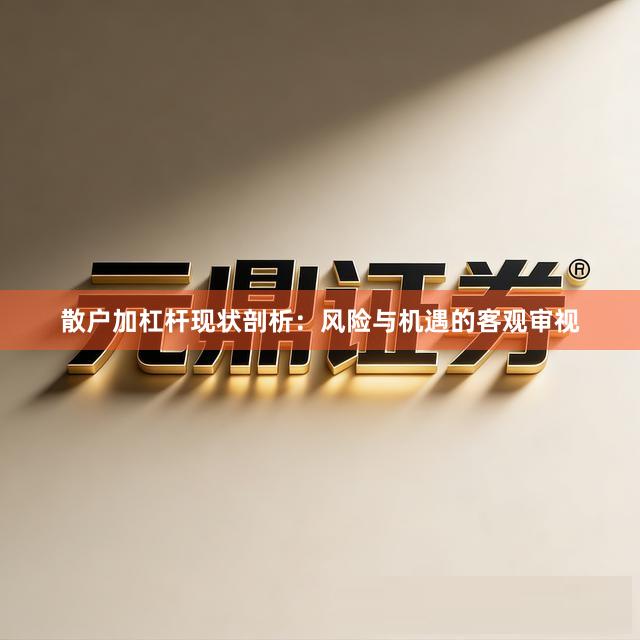 散户加杠杆现状剖析：风险与机遇的客观审视