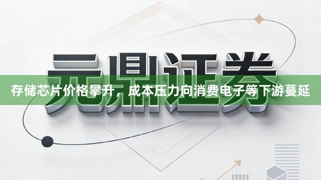 存储芯片价格攀升，成本压力向消费电子等下游蔓延