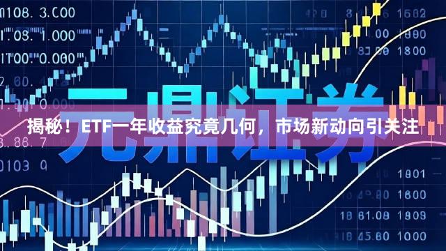 揭秘！ETF一年收益究竟几何，市场新动向引关注